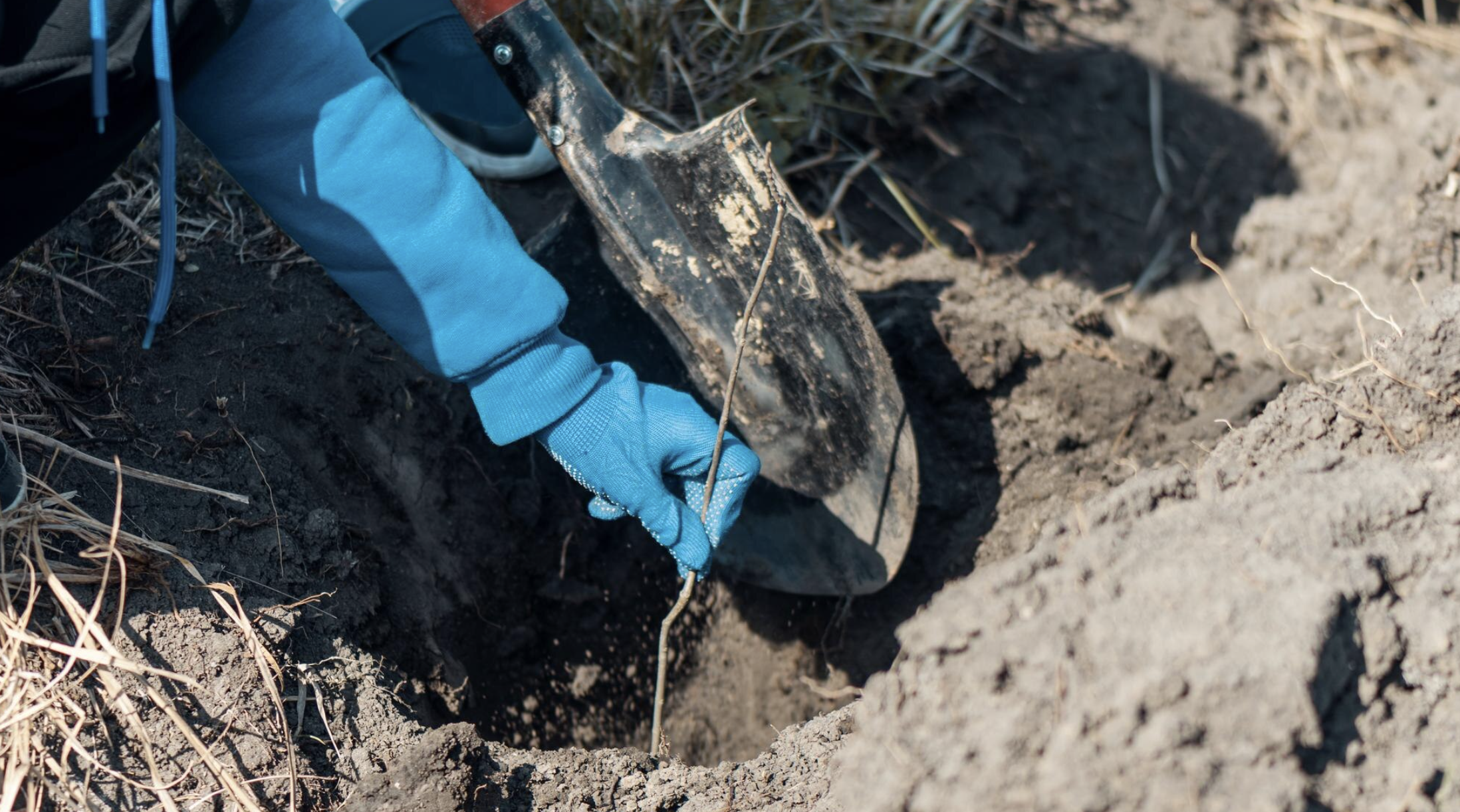 Trenchless Sewer Line Repair